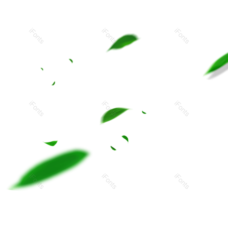 叶子图片,夏天元素,绿叶PNG,树叶免抠素材